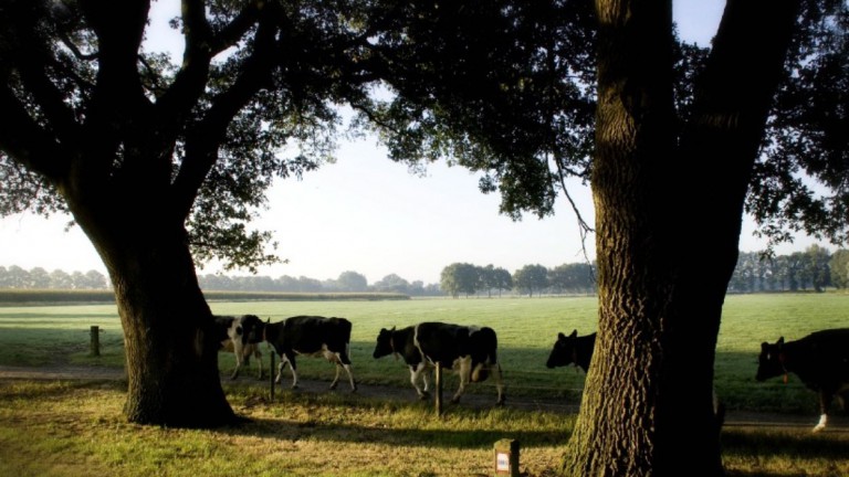 Umwelt - Onthaasten in de Achterhoek