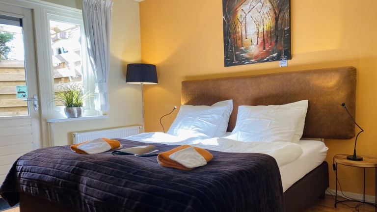 Standaardkamer met terras - Boutique Hotel Nieuw Beusink