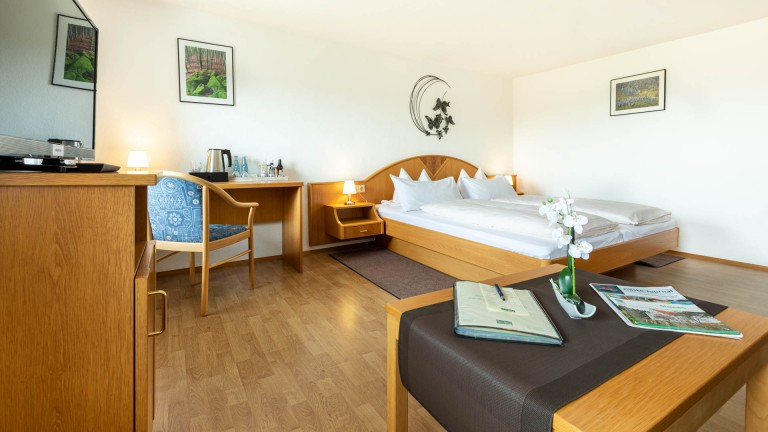 Standaard kamer met balkon - Hotel Landgasthof zum Pflug