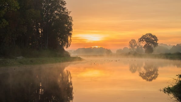 Omgeving - Hotel De Koppelpaarden