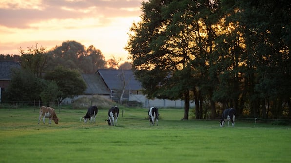 Achterhoek - Hotel De Koppelpaarden