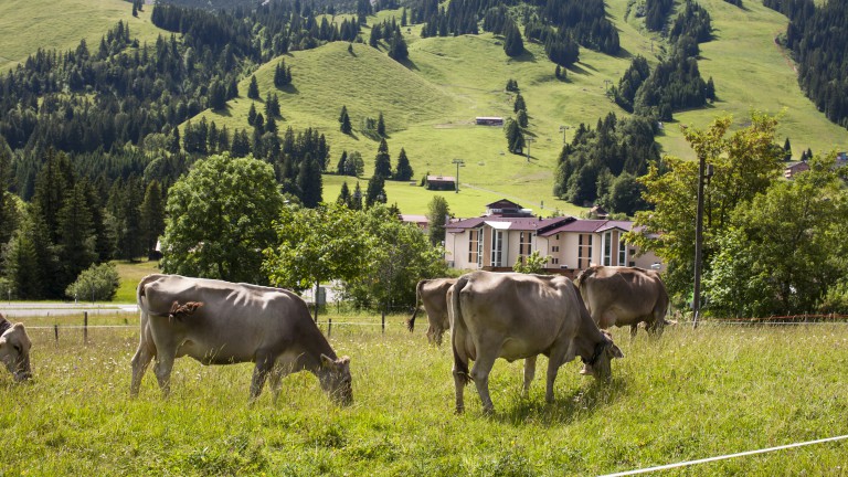 Omgeving - Panoramahotel Oberjoch