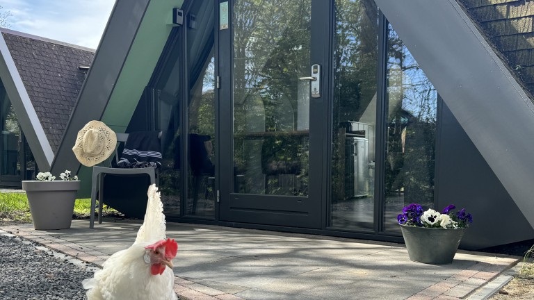 Hotelhuisjes Medemblik