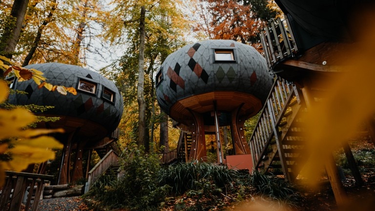 Boomhut Oktagon - Sonnenresort Ettershaus