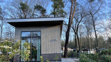 Außenansicht - Vakantiepark De Rimboe en De Woeste Hoogte