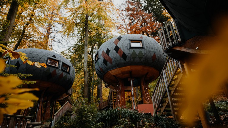 Blokhut Oktagon - Sonnenresort Ettershaus