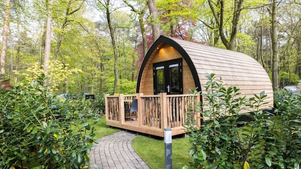 Boslodge - Hotel De Hoeve van Nunspeet