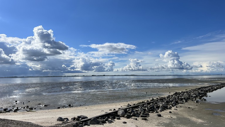Strand - Ferienpark Zeeuwse Parel