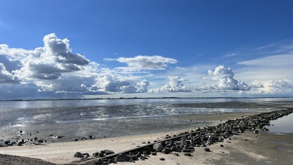 Strand - Vakantiepark Zeeuwse Parel