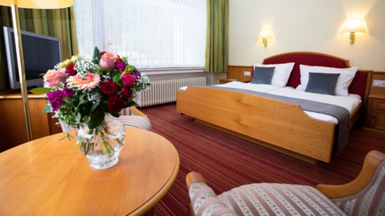 Standaard kamer - Urlaubs- und Wellnesshotel Friederike