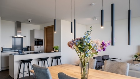 Wohnzimmer und Küche - Dormio Breskens Apartments en Penthouses