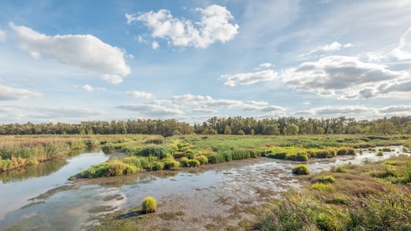 Biesbosch - Postillion Hotel Dordrecht Biesbosch - Postillion Hotel Dordrecht