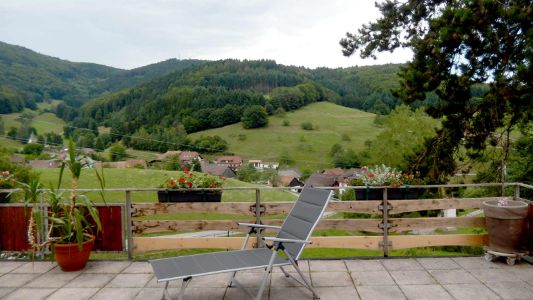 Terras - Hotel Landgasthof zum Pflug