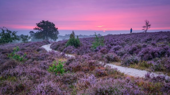 Omgeving - Buitenplaats Holten