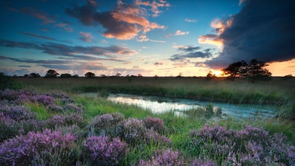 Drentse Aa - Bed and Breakfast Annen