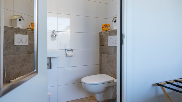 Toilet - Bed and Breakfast Het Vinkenest