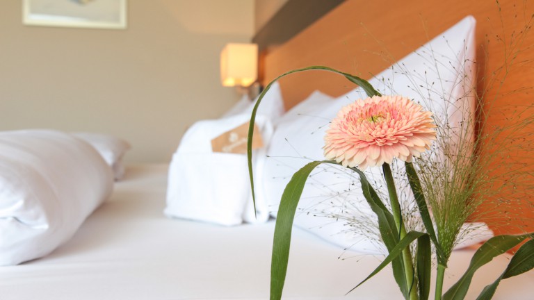 Standaard kamer - Hotel Leinsweiler