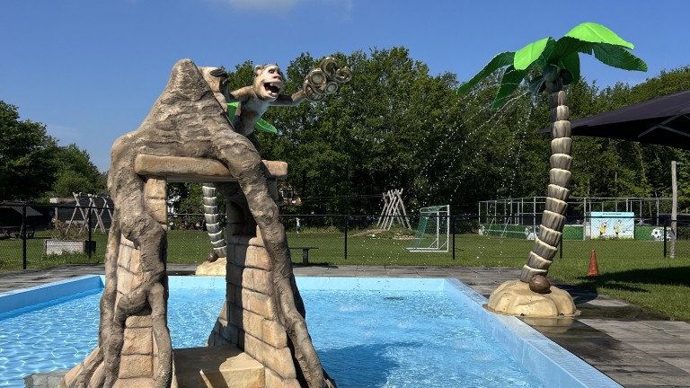 Kinderbecken - Vakantiepark de Luttenberg