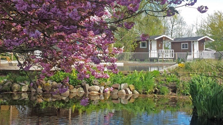 Pipowagen (gedeeld sanitair)