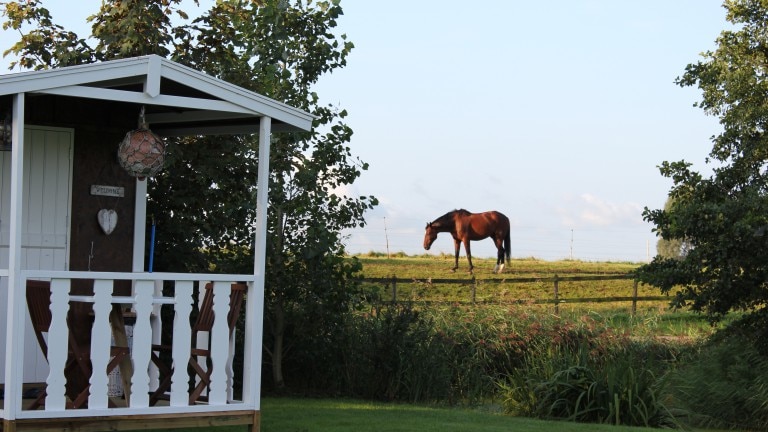 Pipowagen (gedeeld sanitair)