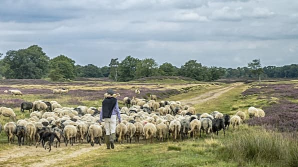 Drenthe