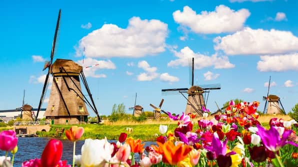 Kinderdijk - Novotel Rotterdam Brainpark