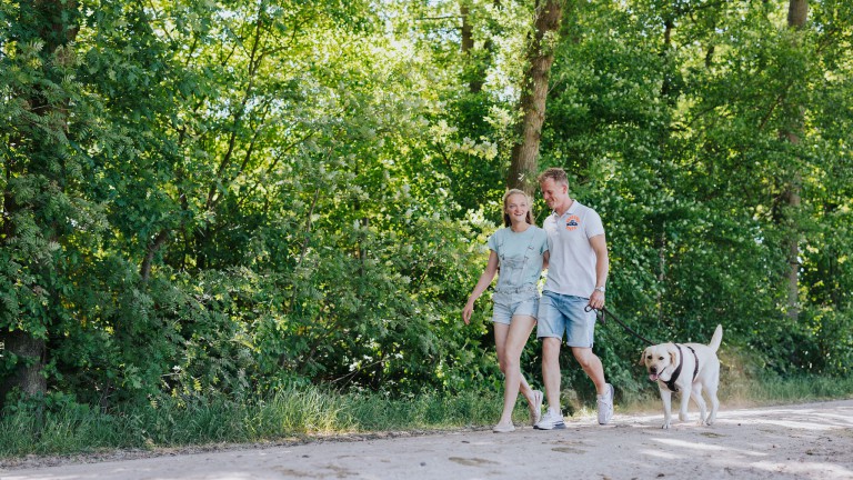 Hunde Spaziergang - Erholungspark der Eperwoud
