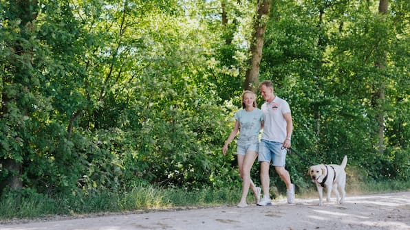 Hond uitlaten - Recreatiepark het Eperwoud