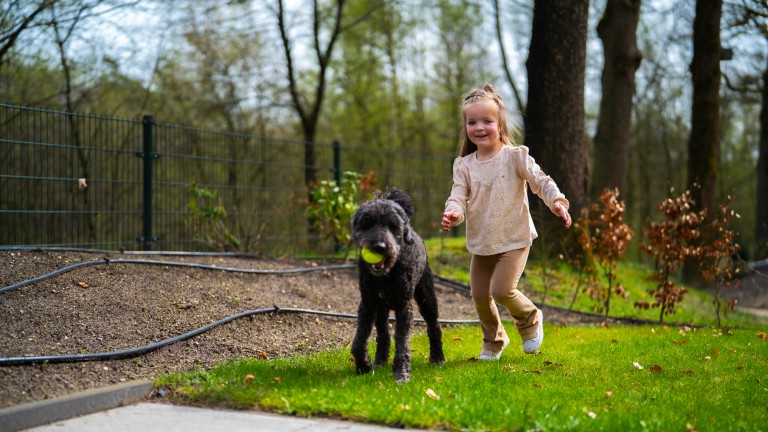 Spielen - Vakantiepark De Rimboe en De Woeste Hoogte