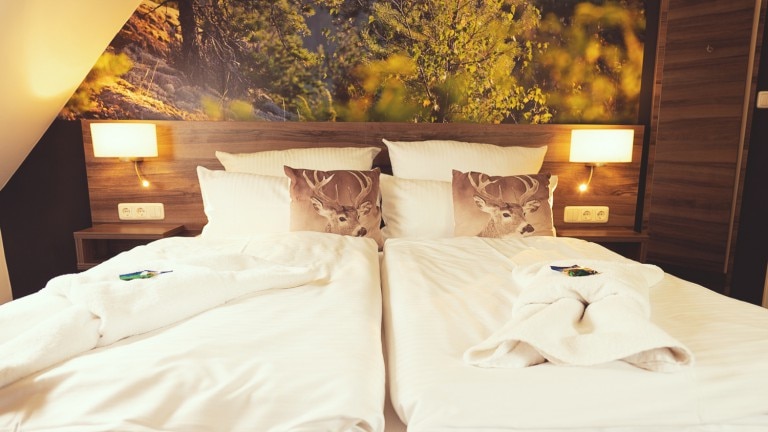 Deluxe kamer - Hotel Mein Bergblick