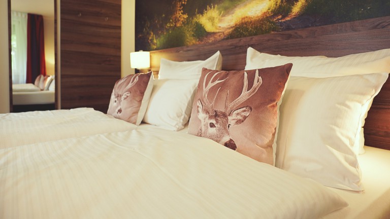 Comfort kamer- Hotel Mein Bergblick