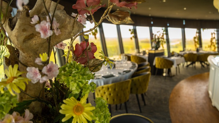 Restaurant - Hotel Restaurant Infinity