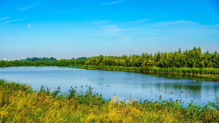 Veluwemeer