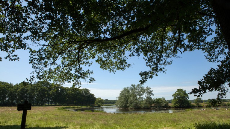 Vechtdal