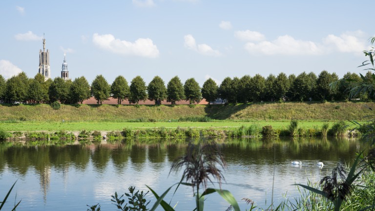 Hulst