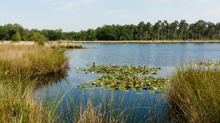 Fietsvakantie De Groote Peel - Fietsvakantie De Groote Peel