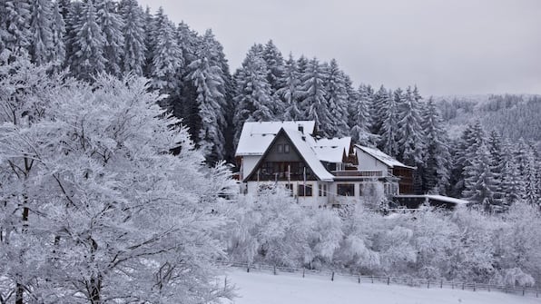 Wald Hotel Willingen