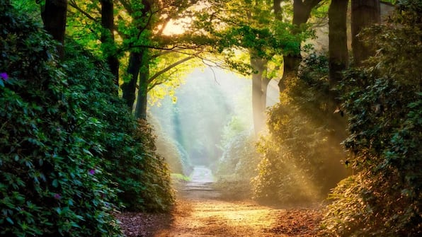 Salland Heuvelrug - Huis van Bewaring Salland Heuvelrug - Huis van Bewaring