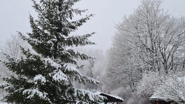 Hotel Harzresidenz Hotel Harzresidenz