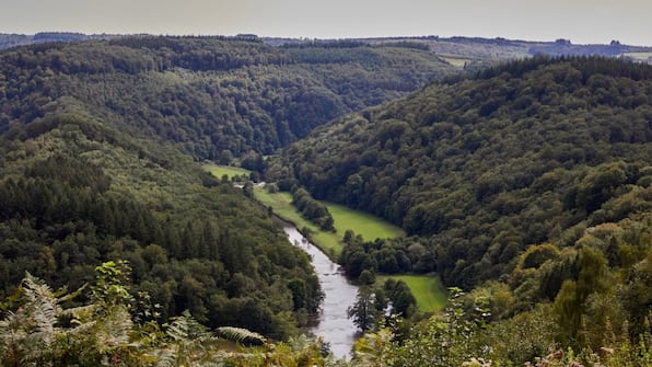 Umgebung - Roompot Hillview Resort Bar - Roompot Hillview Resort Grandvoir - Hotel Umgebung - Roompot Hillview Resort Bar - Roompot Hillview Resort Grandvoir - Hotel