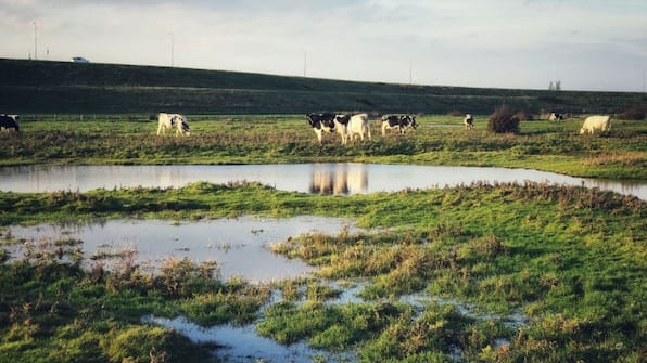 Omgeving - Vakantiepark Hof van Zeeland