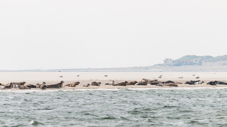 Hotel Waddengenot