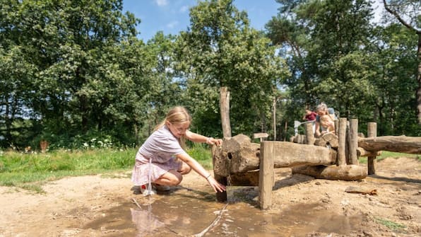 Speeltuin - Landal Landgoed 't Loo 