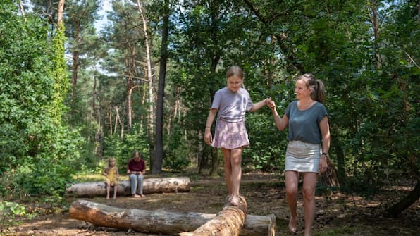 Speeltuin - Landal Landgoed 't Loo 