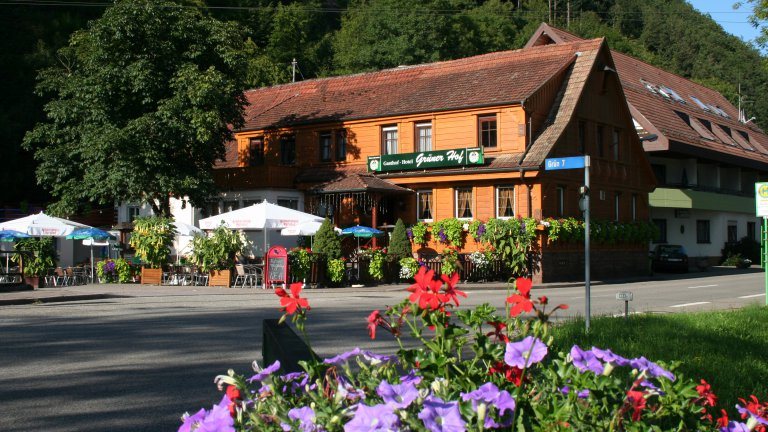Hotel Grüner Hof