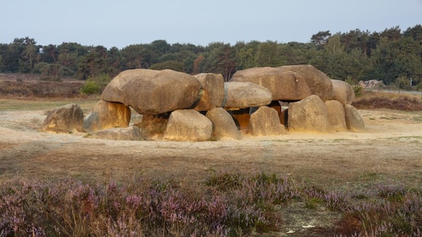 Drenthe - Hotel en Restaurant Wesseling