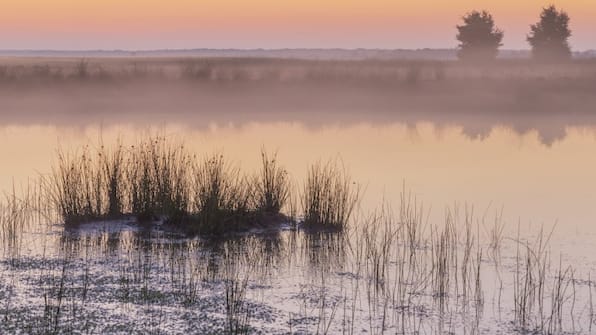 Drenthe - Hotel en Restaurant Wesseling