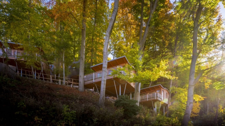 Boomhut Elvis junior