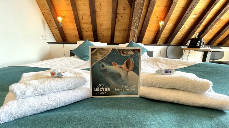 Kleine tweepersoonskamer - Hotel Hector Zierikzee