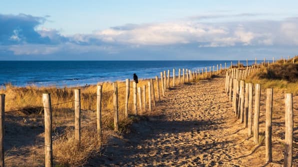 Omgeving - Roompot Kustpark Egmond aan Zee Omgeving - Roompot Kustpark Egmond aan Zee